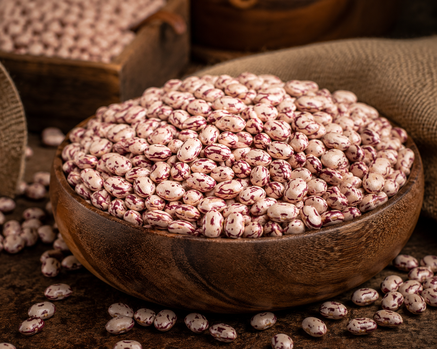 خرید عمده لوبیا چیتی اقلید تمیز و بوجاری شده برای رستوران‌ها و فروشگاه‌های مواد غذایی
