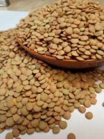 تصویر اصلی خرید عمده عدس ریز روسی درجه یک - خشکبار برلیانی