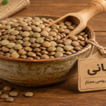 عدس درشت روسی عمده