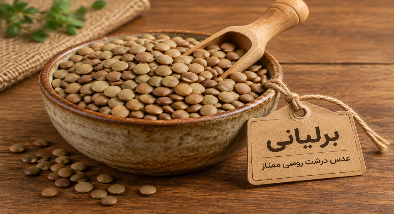 ussian-large-lentils-bag.webp عدس درشت روسی عمده
